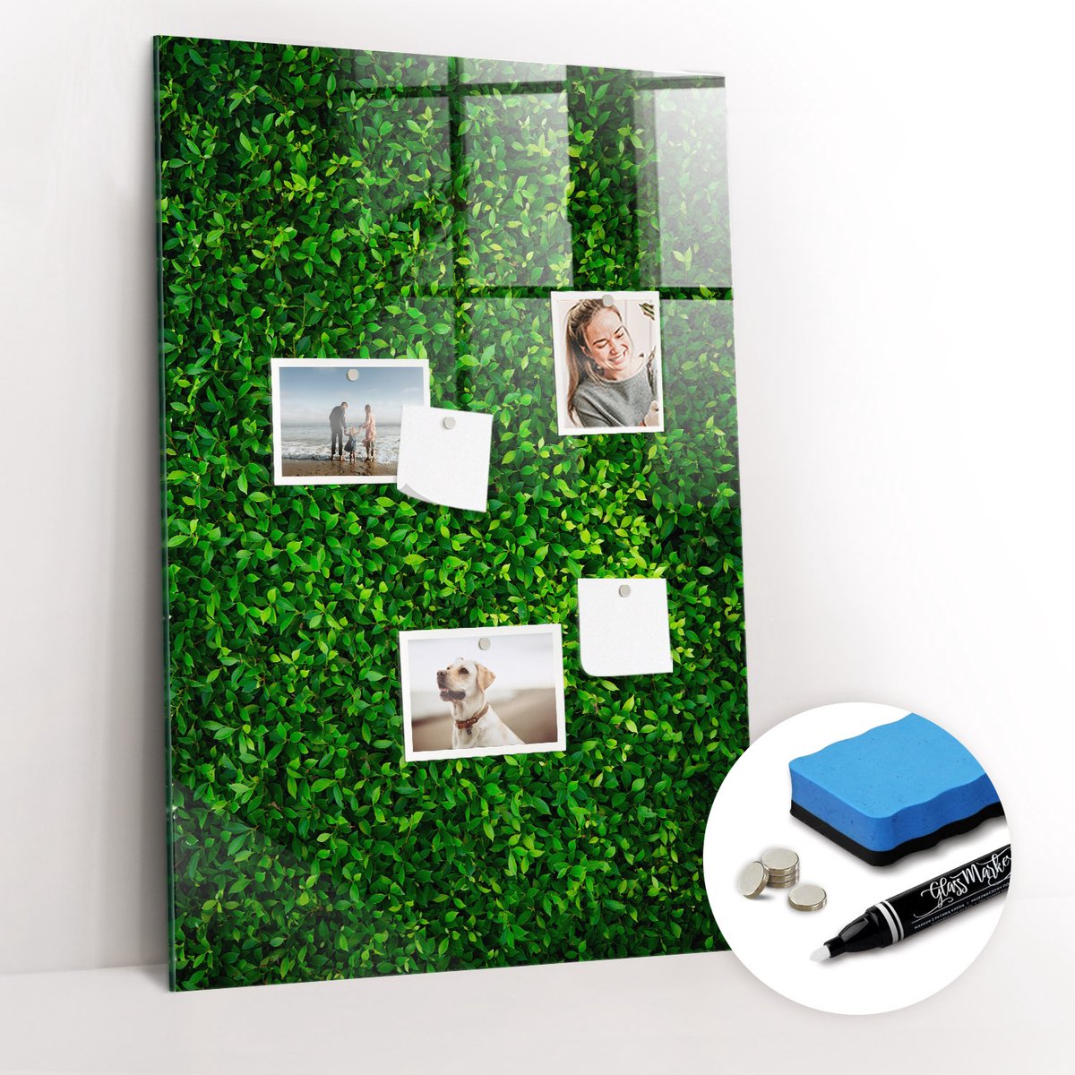 Tulup Whitebord - bladeren van de schuttingplant - 60 x 90 cm - Groente Magneetbord Foto - Gratis 5 Sterke Magneten + Whiteboard Marker & Wisser - Organizer Muur - Foto Magneetbord - Notitiebord Werkplek