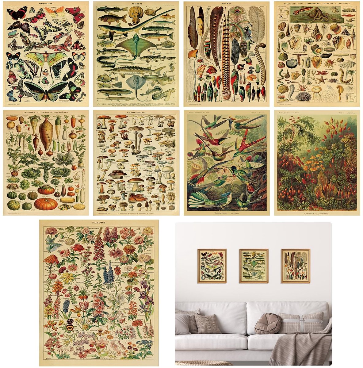 Dailygoods- Botanische Poster 9 Stuks - Wanddecoratie Woonkamer - Educatieve Posters - Muurkunst Slaapkamer - Decoratie Keuken - Formaat 20 x 25 cm