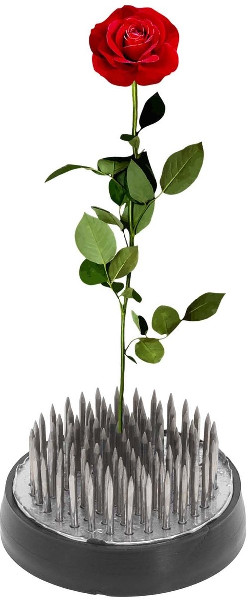 Dailygoods- Bloemenkikker - Roestvrij Staal - Kikker met Pen 40 mm - Bloemstukken - Tafelopzetstukken - Duurzaam Ontwerp - Bloemschikking