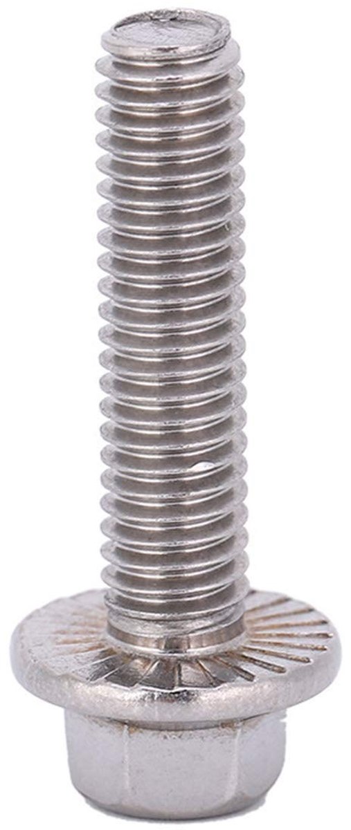 Dailygoods- Flenskopschroef 10st - RVS Zeskantflensdop - M6 Schroefdraad - Roestvrij staal 304 - Passivering - Bevestiging - Schroeven