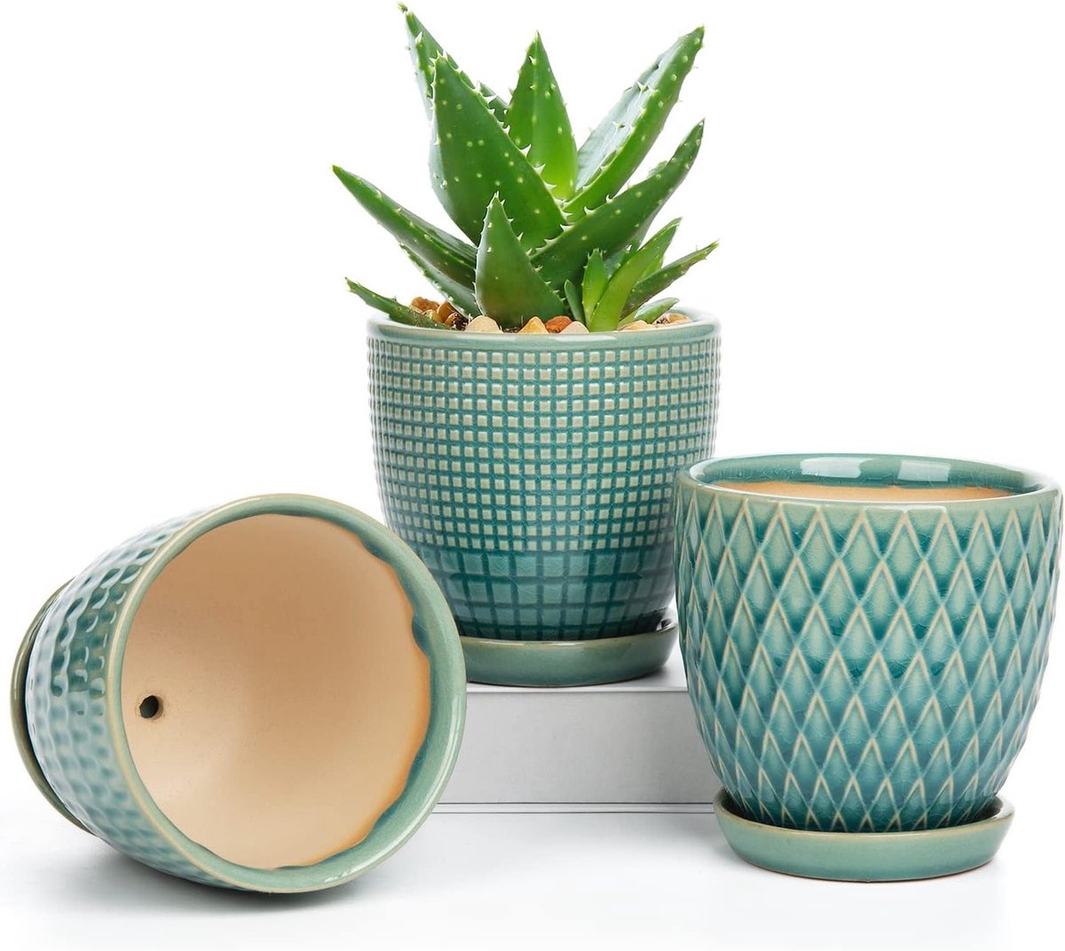 Set van 3 ronde keramische plantenpotten met afvoergat voor vetplanten en cactussen, ideaal voor binnen en buiten, diameter 11,2 cm