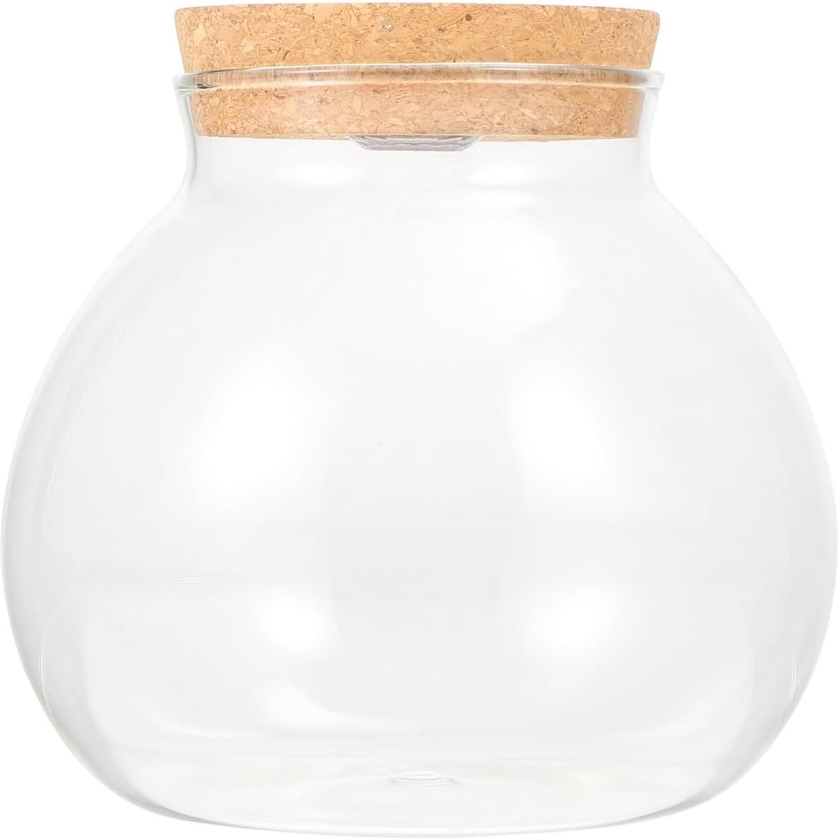 Micro Landschap Ecologische fles Helder Glas Plant Terrarium Container Vis Tank Ronde Glas Aquarium Ball Nachtverlichting Cadeau