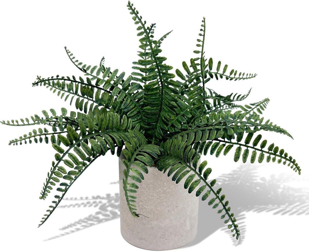 Nepvaren planten - Bostonvaren in pot - Groen decoratief - Ideaal voor woonkamer en kantoor - SnelShoppen
