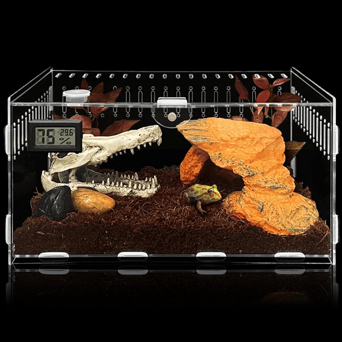 Reptiel voederbox, 30 x 20 x 15 cm, acryl terrarium met elektronische hygrometer, terrariumbox voor minidieren, insecten, gekko, aquarium