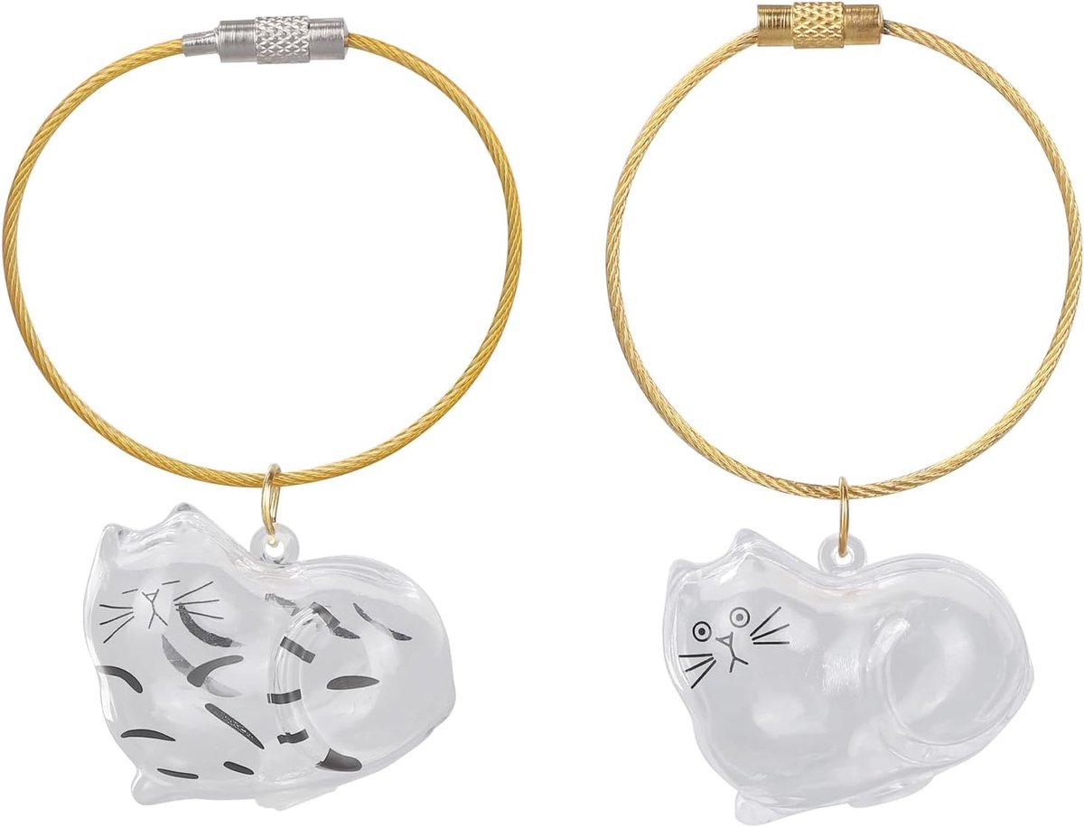 2st Sleutelhanger Flesje Kattenhaaropslag, Herdenkingsfles van Acryl met Stoppen Schattige Haarherinneringsbedel voor Kattenvachtverzameling en Herinnering Cadeaus (Transparant)