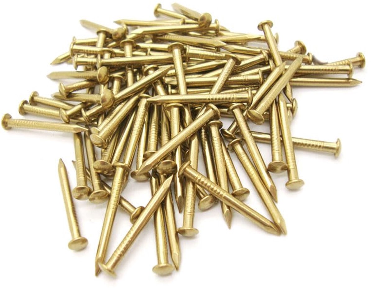 100 stuks assortiment spijkers en pinnen van messing, lengte 8 mm - 20 mm, wandpunaises voor houtbewerking, meubelproductie, ophangen van foto's, spiegels, lijsten en timmerprojecten