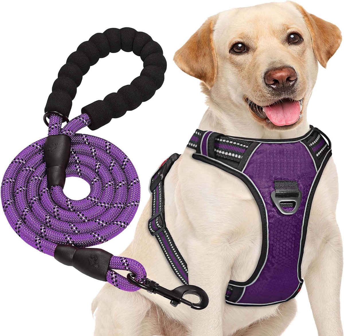 haapaw Geen Pull Hond Harnas Verstelbare Reflecterende Oxford Easy Control Medium Grote Hond Harnas met een Gratis Heavy Duty Hond Lood
