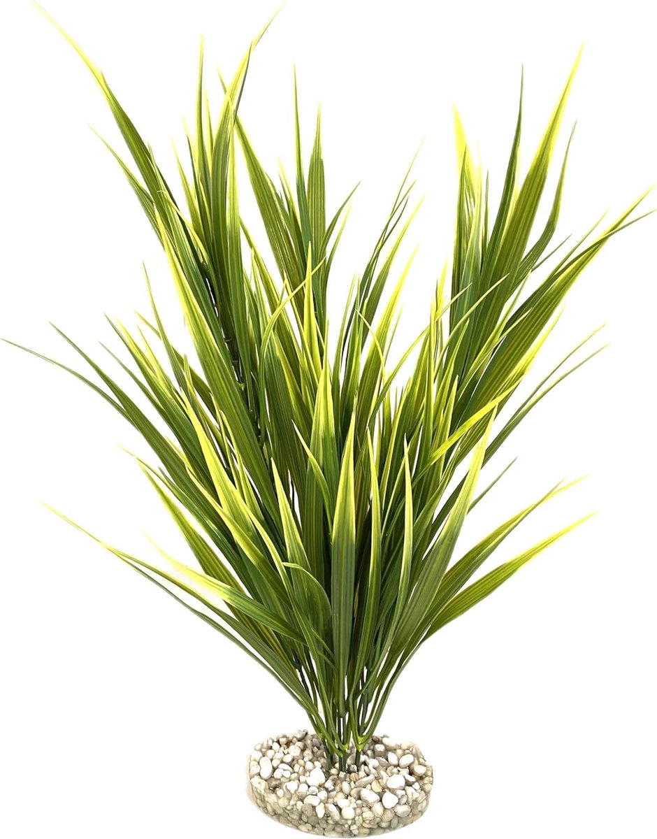 - Massieve kunstaquariumplant Acorus XXL 50 cm - Decoratie voor aquarium - Kamerplant van kunststof op sokkel - Eenvoudige verankering op de bodem van het aquarium - Gemaakt in Frankrijk