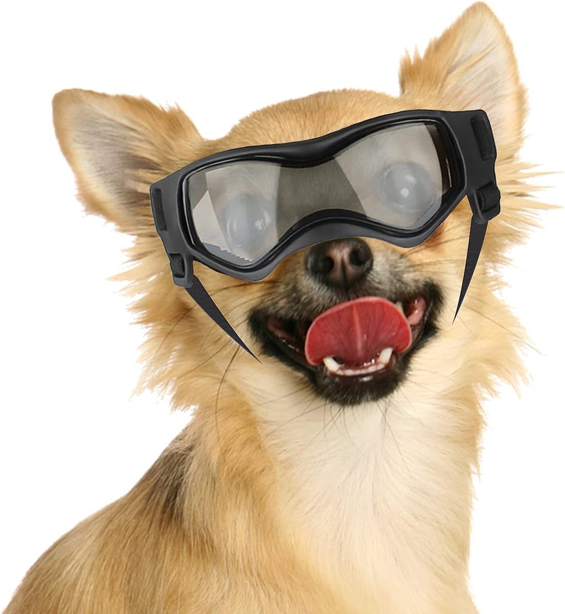 Hondenbril voor kleine honden, uv-bescherming, hondenzonnebril met verstelbare elastiek, winddicht, motorbril, zwart