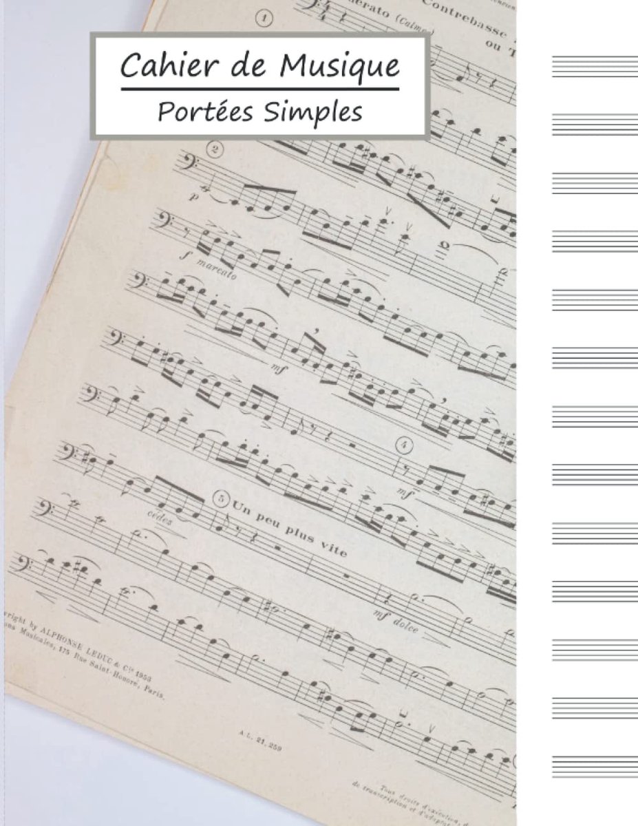 Cahier de musique - Portées simples