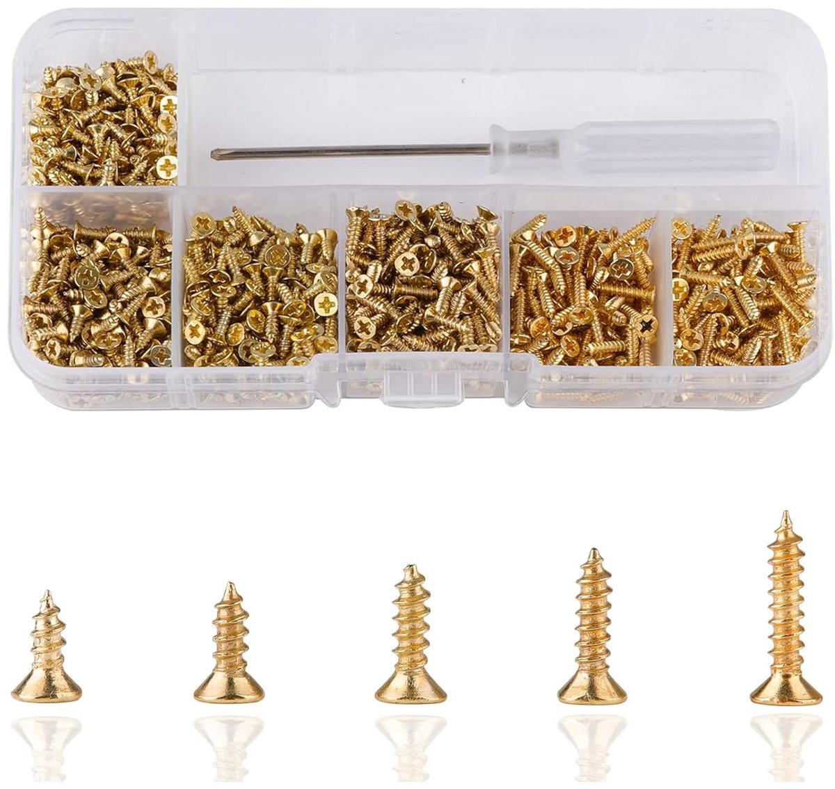 1000 Stuks Kleine Schroef Platte Kop 5/6/7/8/10 mm Platte Kop Cross Zelftappende Schroef met schroevendraaier voor DIY Scharnier Poppenhuis Lade,ect（Goud）