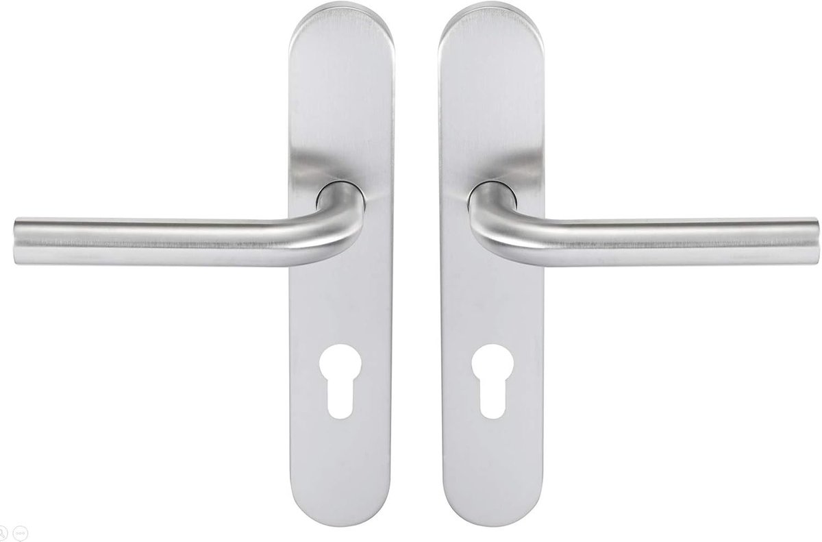 666458 Set RVS handgrepen op Tempo Pop Plate voor toegangsdeur (voor Europese cilinder)