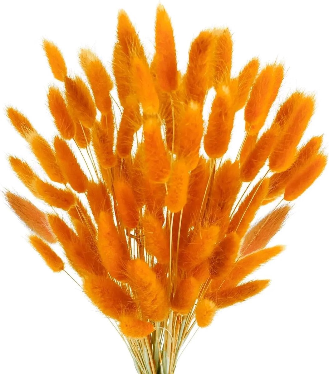 SnelShoppen - Pack van 120 Gedroogde Bloemen, Decoratieve Planten, Vrij te Knippen, Bohemian Stijl, Oranje, Voor Woonkamer, Slaapkamer, Studie, Feestd