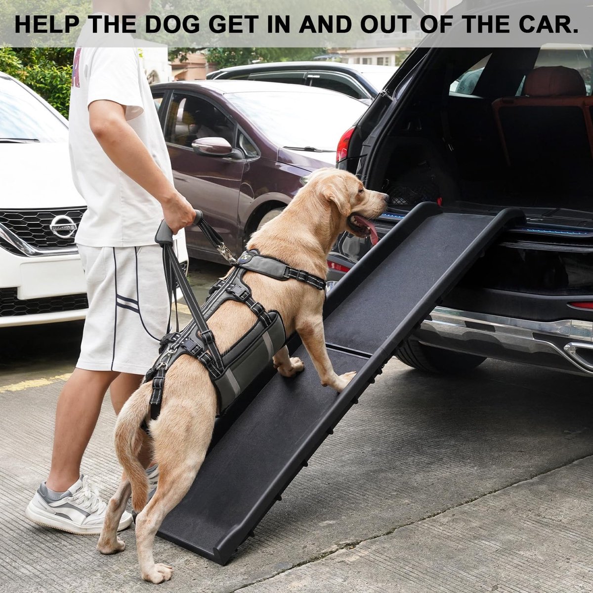 SnelShoppen - COODEO Hondenharnas voor Mobiliteit Ondersteuning, Rugsteun en Draagriem, XL, Army Green, Ideaal voor Oudere Honden, Gewrichtsblessures