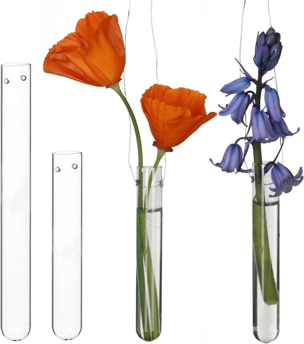 SnelShoppen - 12 Testbuizen van Glas met Hanggaten - Ø1,5 cm, Hoogte 10 cm - Perfect voor Bloemdecoratie, Bruiloften, Tuin en Binnengebruik