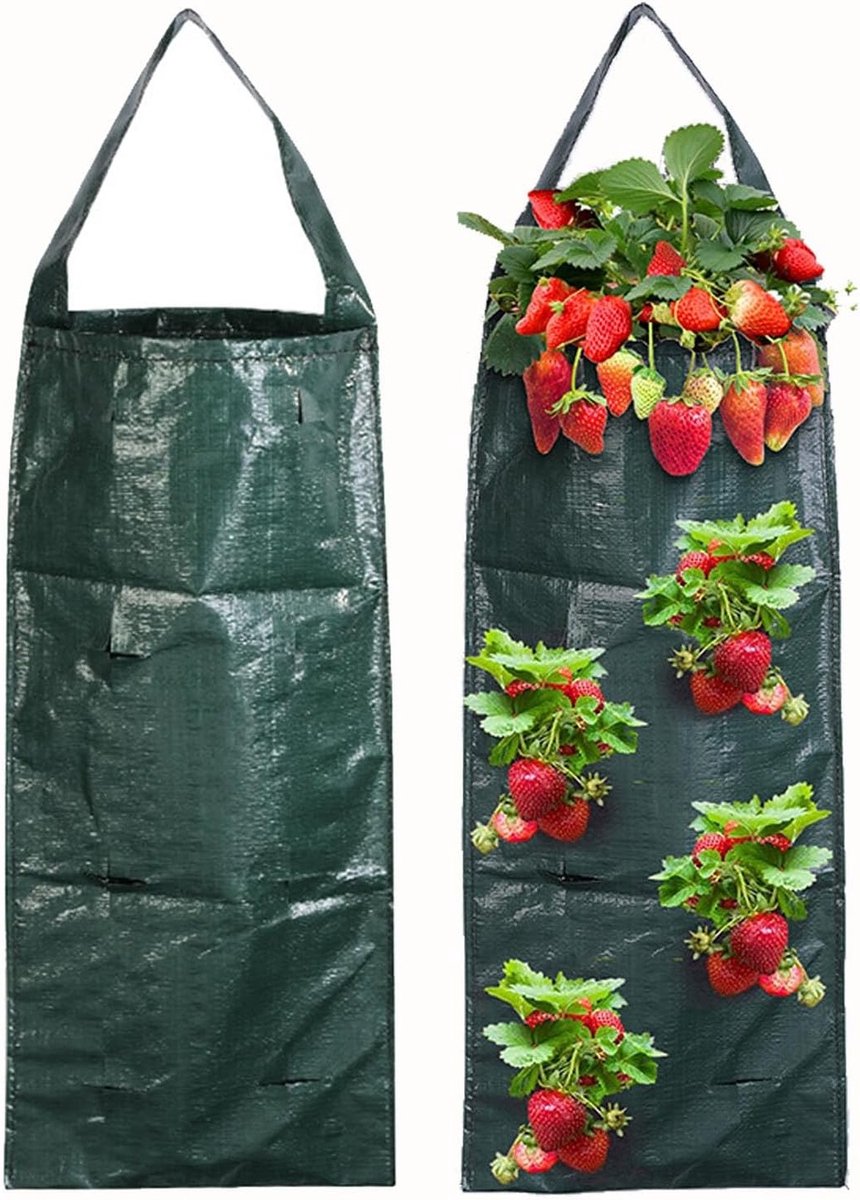 Set van 4 draagbare plantenzakken met 8 gaten voor aardbeien, tomaten, kruiden en groenten - ademend en eenvoudig op te hangen voor een optimale groei