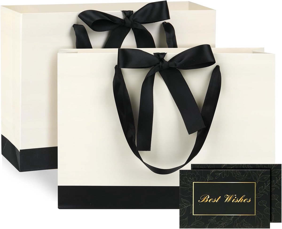 SnelShoppen - 2 Stuks Middelgrote Cadeauzakjes met Handvat, 28 x 20 x 10 cm, Papieren Zakjes voor Verjaardag, Bruiloft, Kerst, Feest en Detailhandel