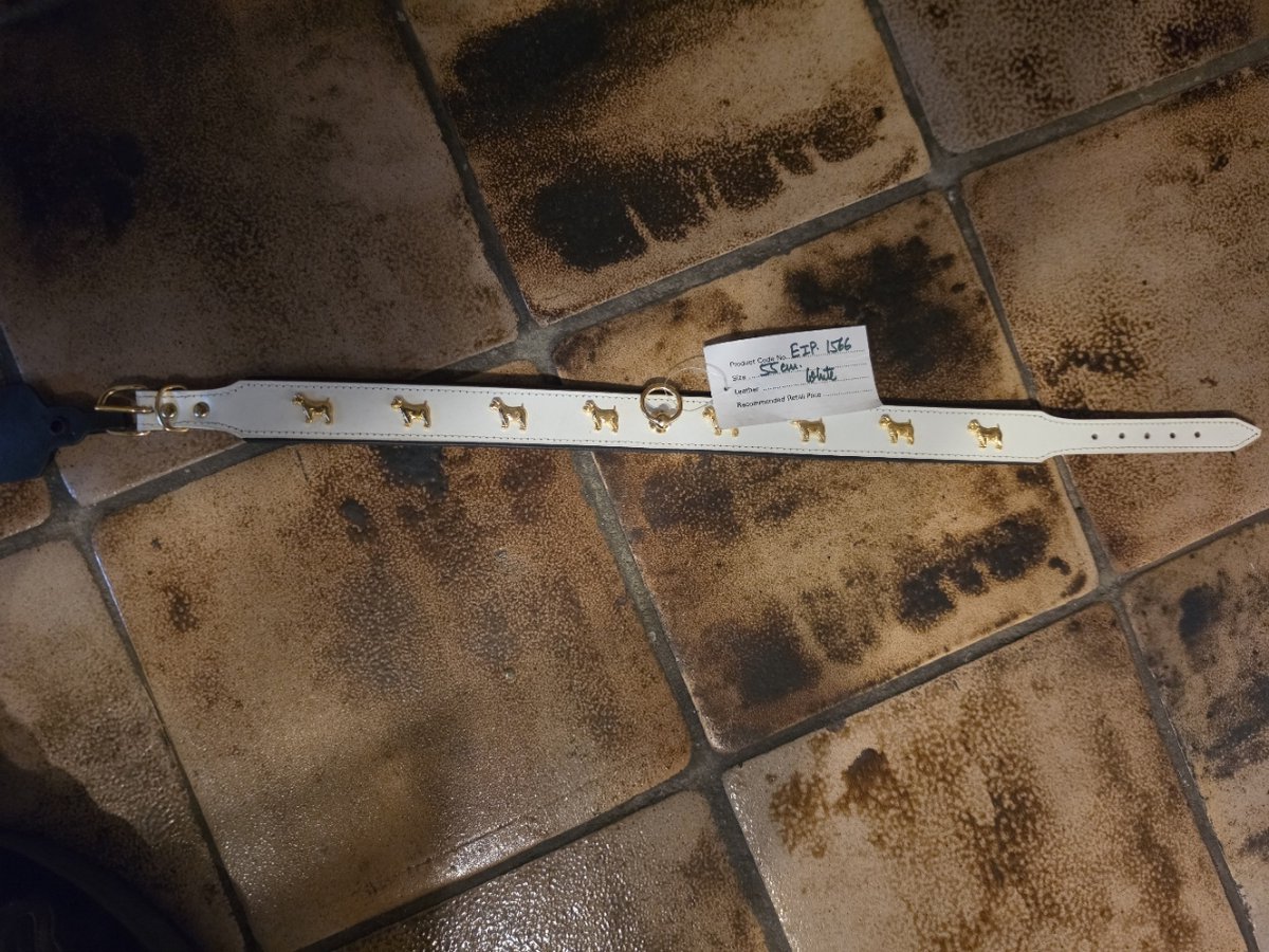 Halsband wit dubbelgestikt met versieringen 65 cm 30 mm 52.5/59