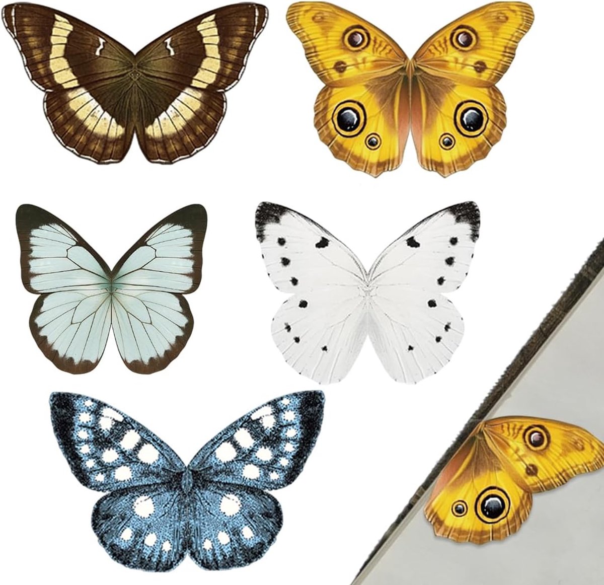SnelShoppen - 5 Stuks Magnetische Vlinder Boekenleggers Voor Kinderen, Kleurige Magnetische Boekenleggers Voor Lezers, Ideale Cadeaus Voor Kinderen