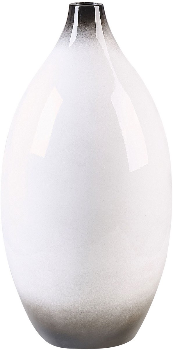 Beliani BAEZA - Decoratieve vaas - Wit - Terracotta