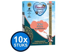 10x Renske - Vers zalm graanvrij - tetra 375gr - Hondenvoer Natvoer - 375 g