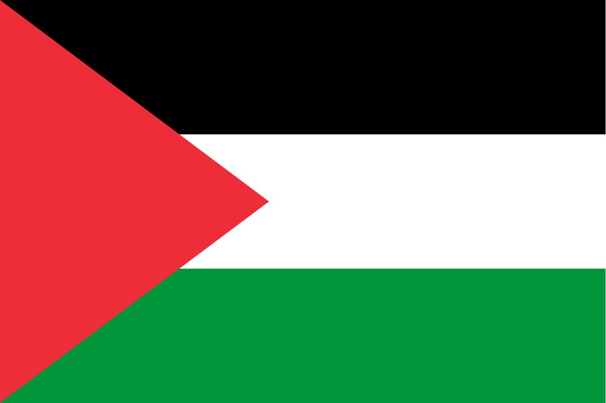 Vlag - Palestina - 90x150cm