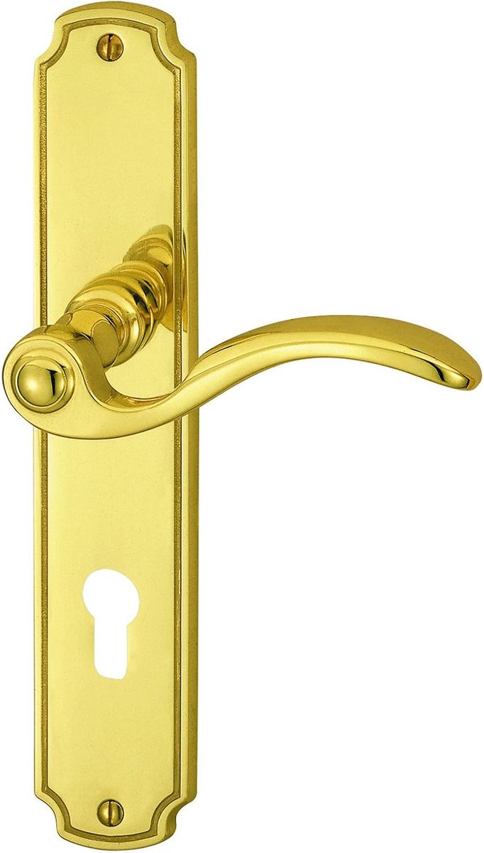 SnelShoppen - Deurknop Rebeca-LS - Messing gepolijst - 122mm deurhandgreep met lange schild trim voor binnendeuren - Sterke metalen constructie - Incl