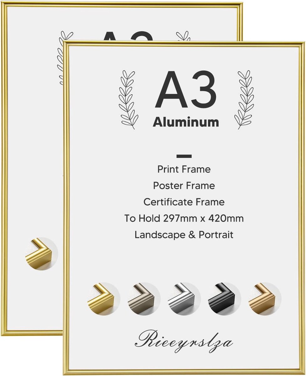 SnelShoppen - A3 Aluminium Fotolijsten Set van 2 - Luxe Gouden Kaders voor Documenten en Posters - Perfect voor Huizen en Galerijen