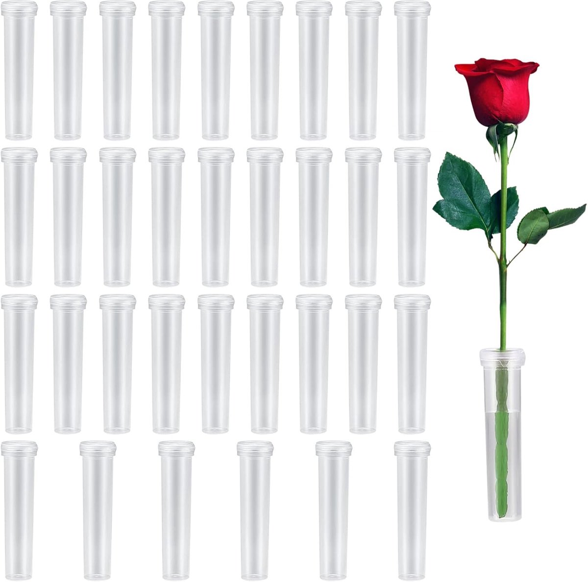 SnelShoppen - 33 Stuks Bloemen Water Tubes, Herbruikbare Water Spuiten met Deksels, Plastic Transparante Vazen voor Orchideeën en Bloemen, Ideaal voor