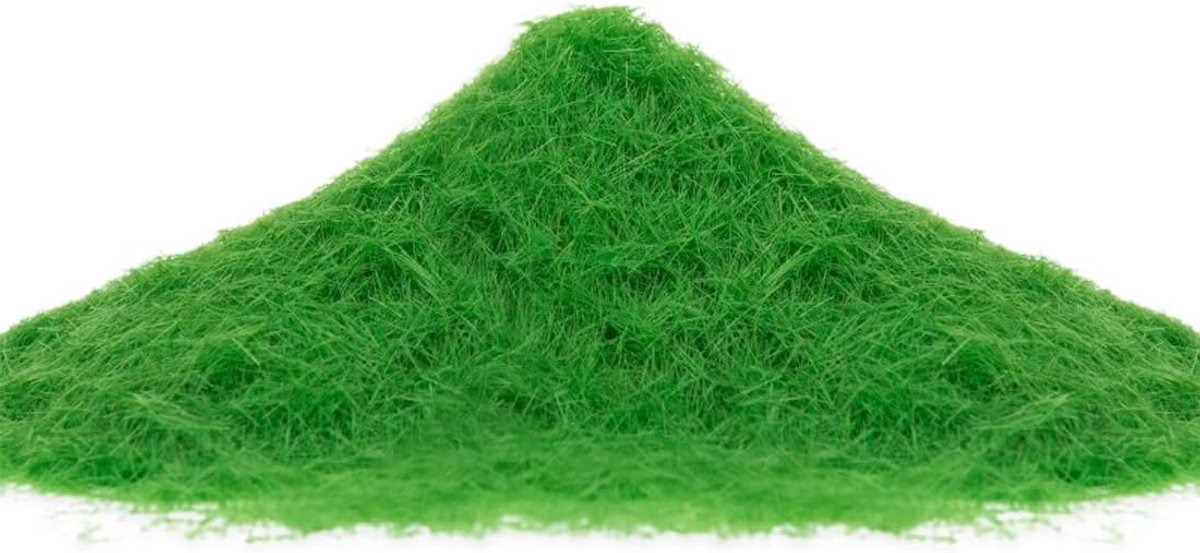 SnelShoppen - 30g/Pack Kunstgras Poeder Mos Voor Modelbouw, Losse Gras, Weiden Gras Voor Modelspoor, Gras Voor Model Maken (Winter Groen)