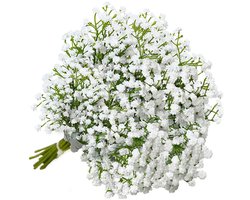 Foto: 