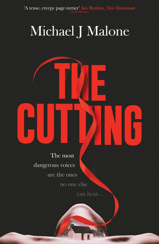 Annie Jackson Mysteries 3 - The Cutting - cover