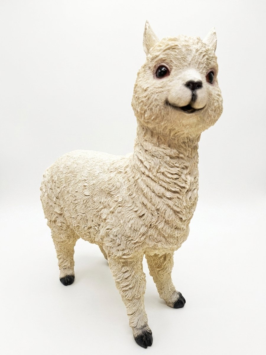 Decoratieve Alpaca / Lama beeld – Polystone – 39 x 34 cm – Realistisch Dierenbeeld voor Binnen en Buiten
