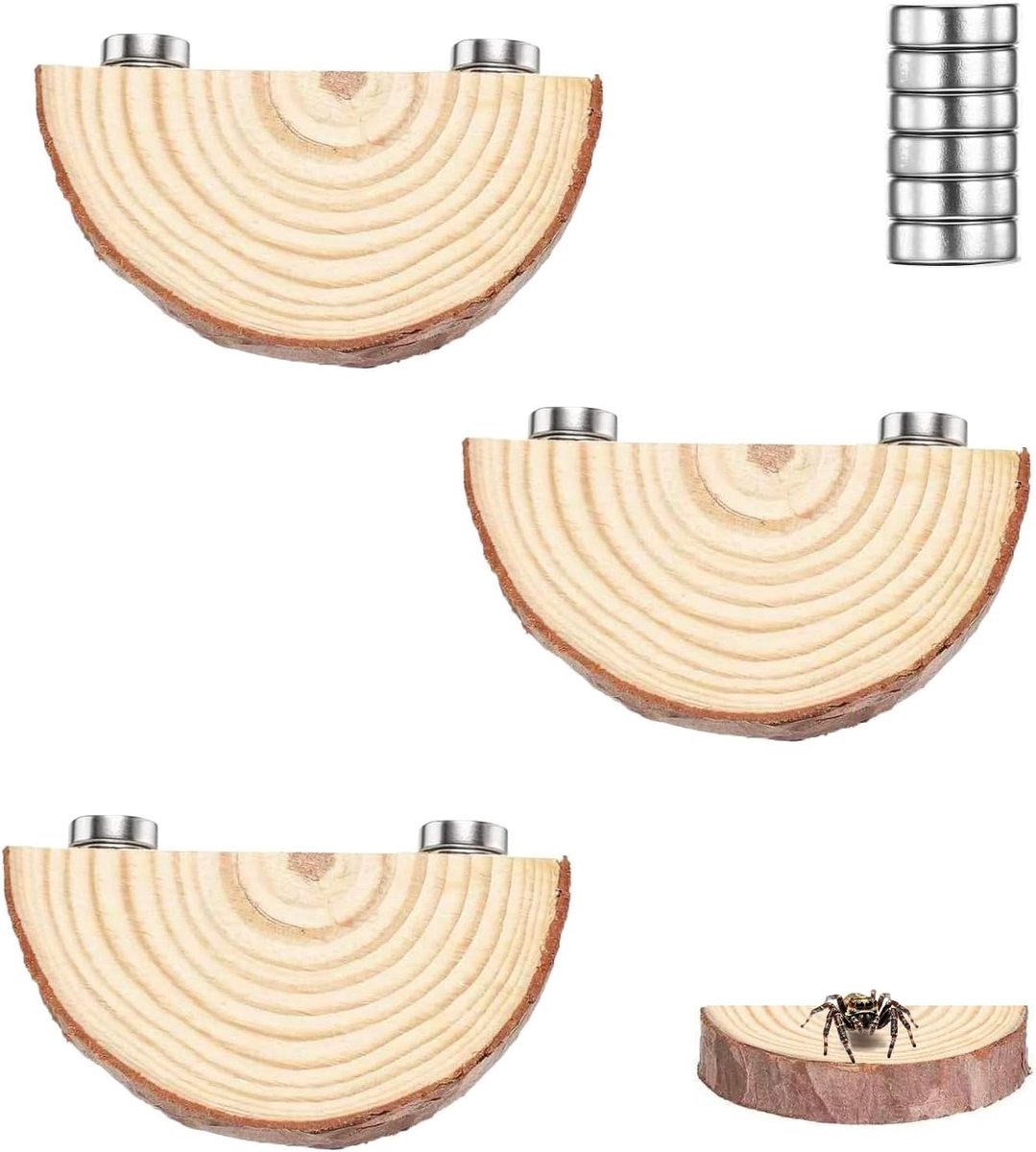 Set van 3 magnetische springspinnen, klimplatforms van natuurlijk hout, springspin, terrarium-accessoires, springspin - ShopVlot