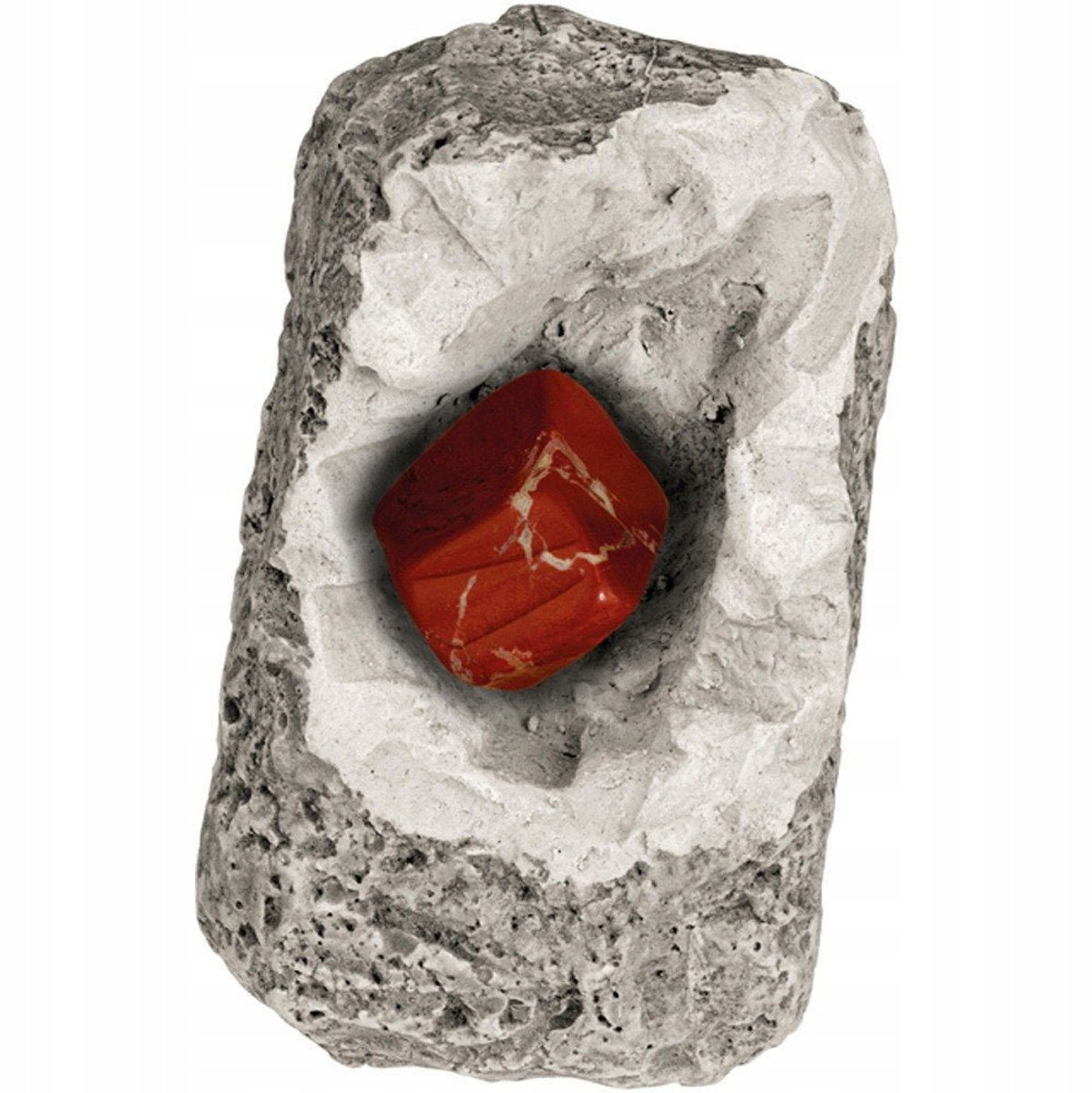 Piatnik Kleine Archeoloog: Mineralen & Fossilen Ontdekkingsset
