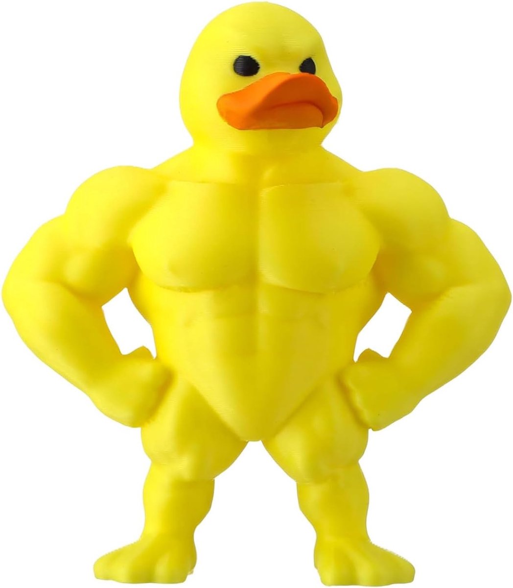 Figuur gespierde eend 3D-print, decoratie eend spieren - ShopVlot