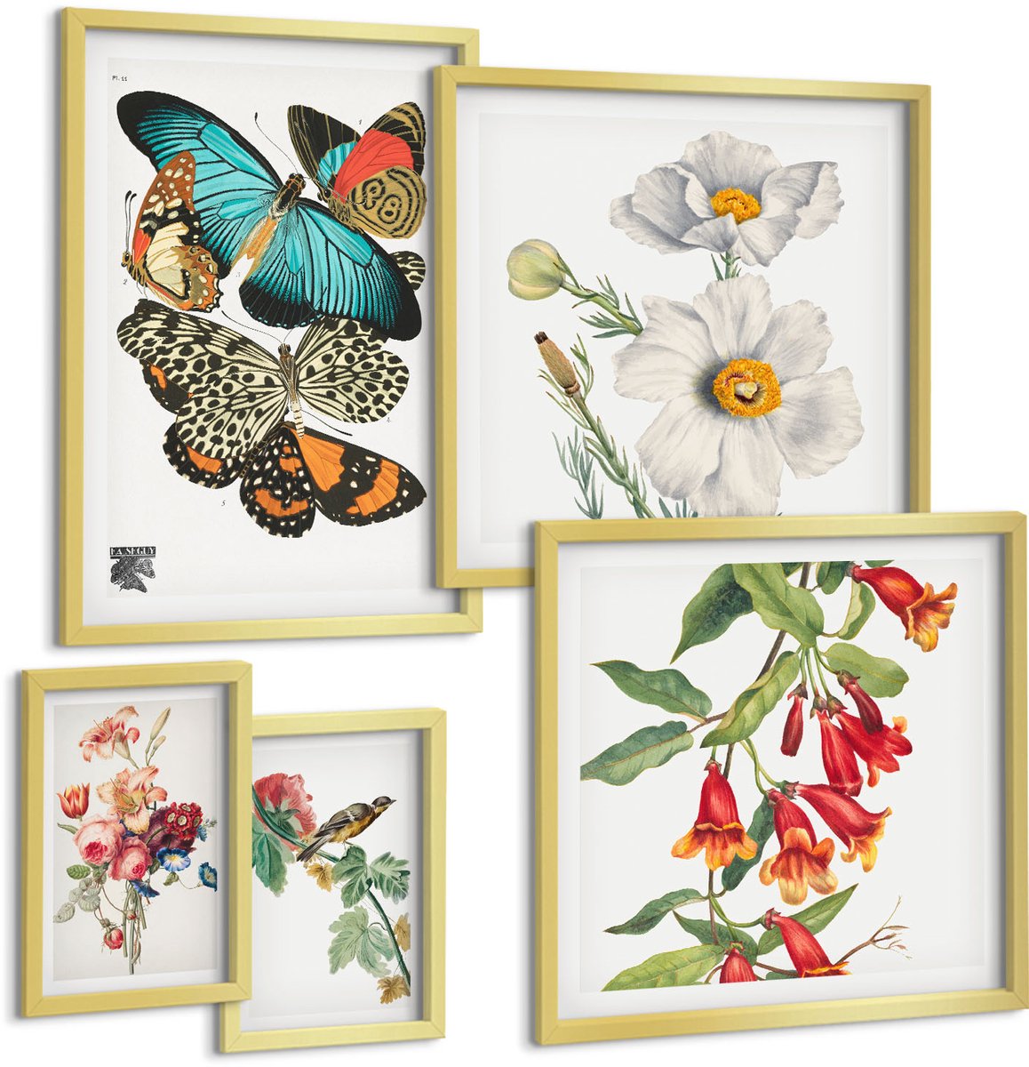 TULUP 5-Delige Schilderij Set - Vintage wanddecoratie met bloemen, vlinders en vogels. - 50 x 50 cm, 20 x 30 cm en 40 x 60 cm - Stijlvolle Muurdecoratie - Kantoor - Decoratieve Schilderijen Gouden lijst