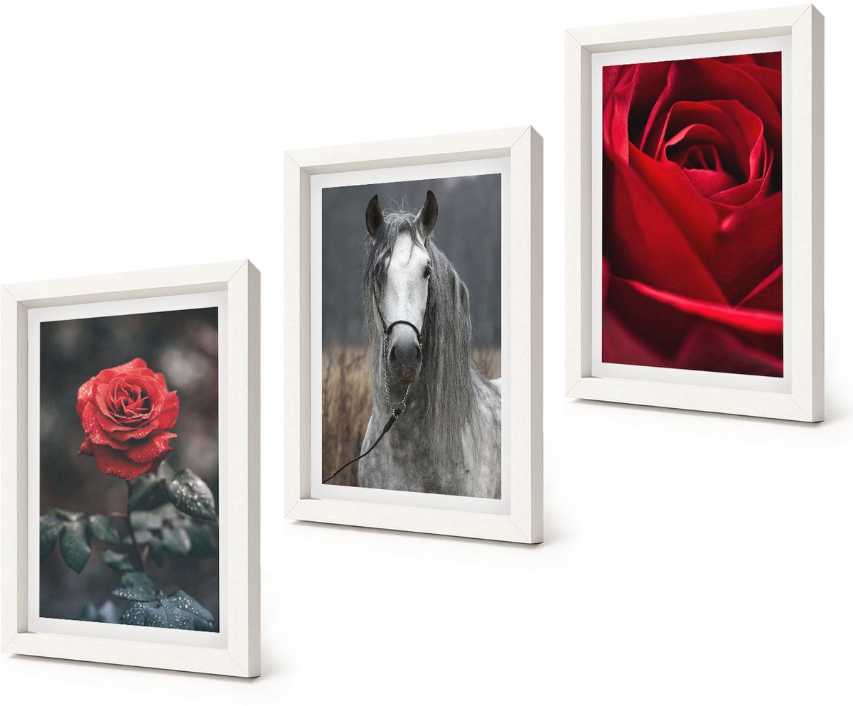 Coloray 3-Delige Schilderij Set - Rode rozen en een paard in een grijze omgeving - 20x30 - Wanddecoratie - Schilderijen Set - Kantoor - Decoratieve Schilderijen