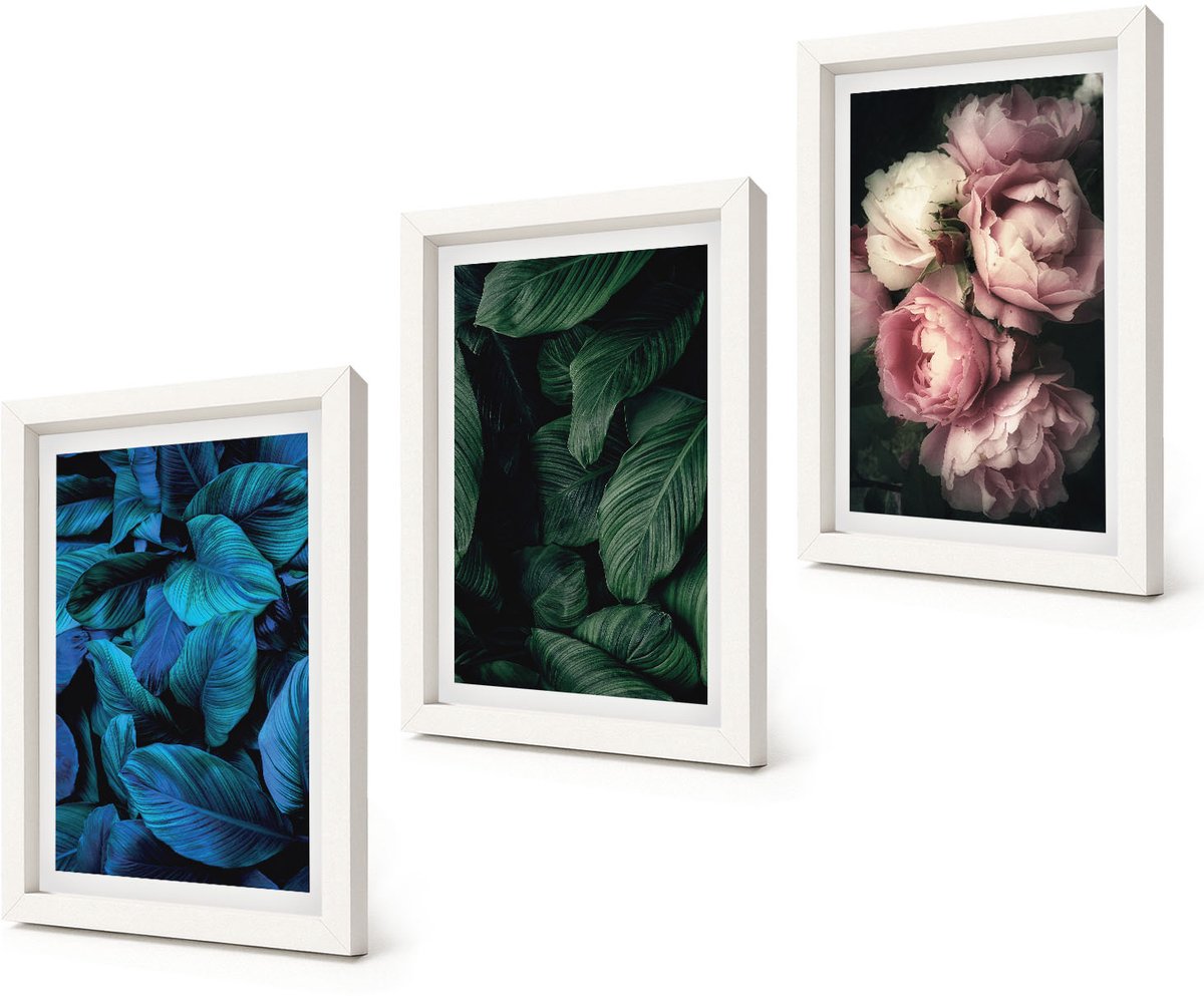 Coloray 3-Delige Schilderij Set - Bladeren en bloemen in verschillende kleuren - 20x30 - Muurdecoratie - Wanddecoratie - Hal - Interieur Decoratie