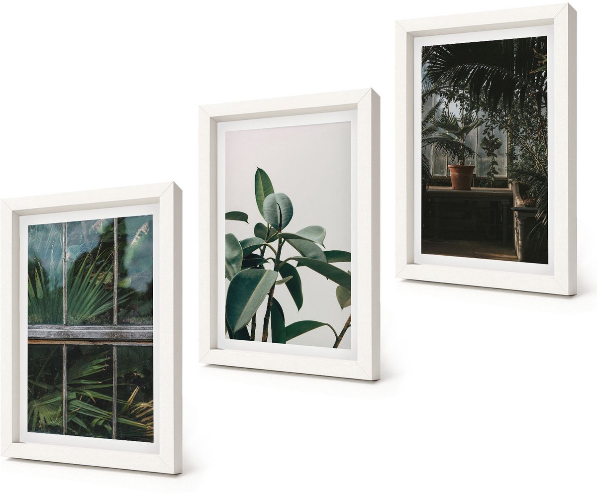 Coloray 3-Delige Schilderij Set - Groene bladeren op het raam en planten in het interieur. - 20x30 - Wanddecoratie - Muurdecoratie - Moderne Interieurdecoratie