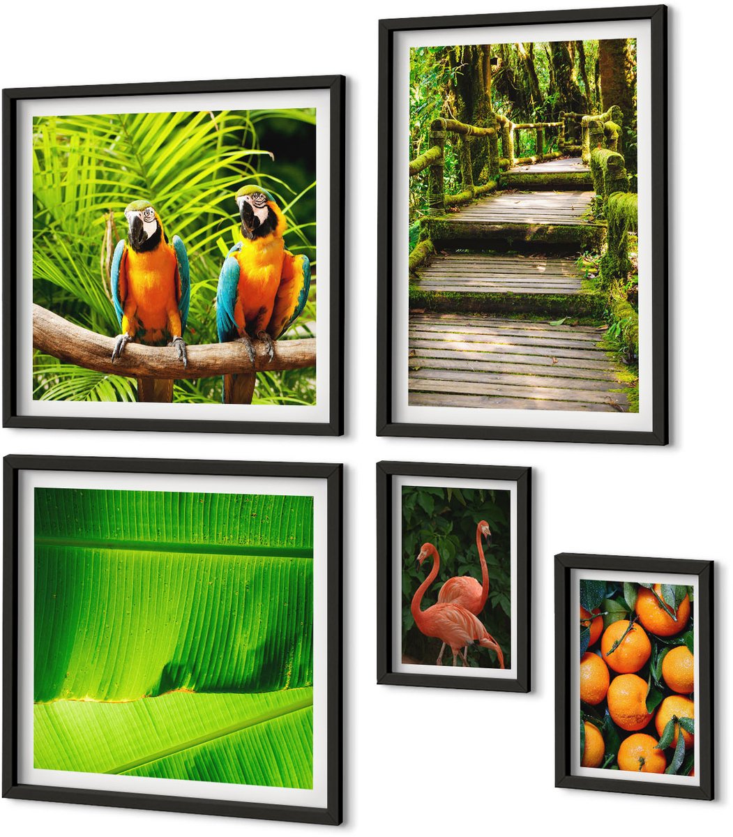 Coloray 5-Delige Schilderij Set - Tropische Natuurthema'S, Exotische Vruchten En Vogels - 50 x 50 cm, 20 x 30 cm En 40 x 60 cm - Schilderijen Set - Wanddecoratie - Woonkamer - Moderne Wanddecoratie Zwarte lijst