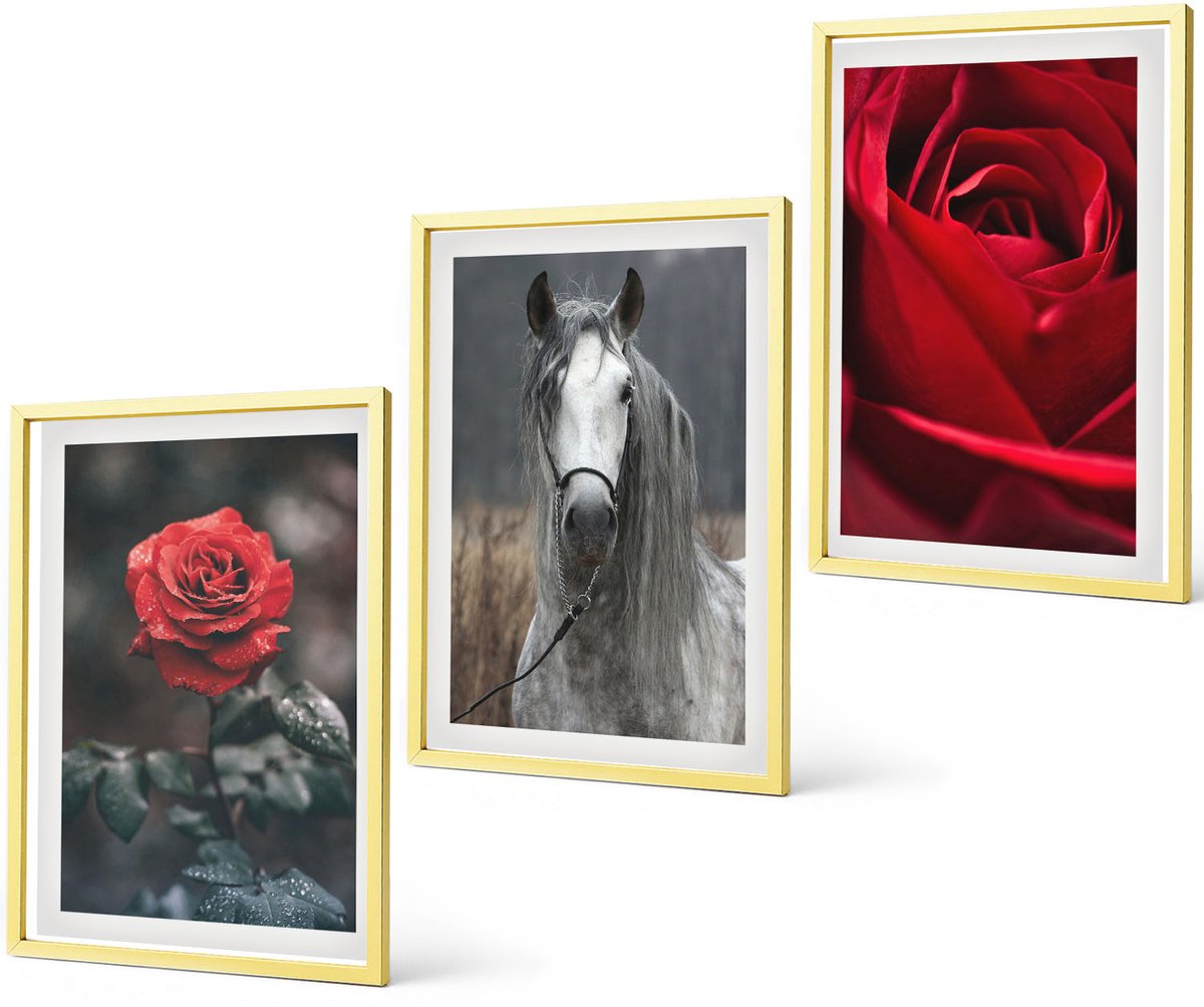 Coloray 3-Delige Schilderij Set - Houtpatroon, Boomschorsstructuur, Minimalisme - 40 x 60 cm - Wanddecoratie - Schilderijen Set - Kantoor - Muurdecoratie