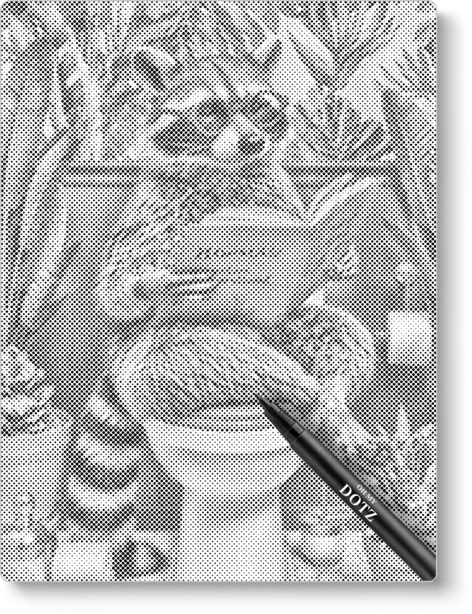Wasbeer op het toilet | Dot painting | 50x60cm  Meest gekozen | Dot painting | Oh My Dotz | Dots stippen | Diamond painting & Schilderen op nummer alternatief | Happy hobby