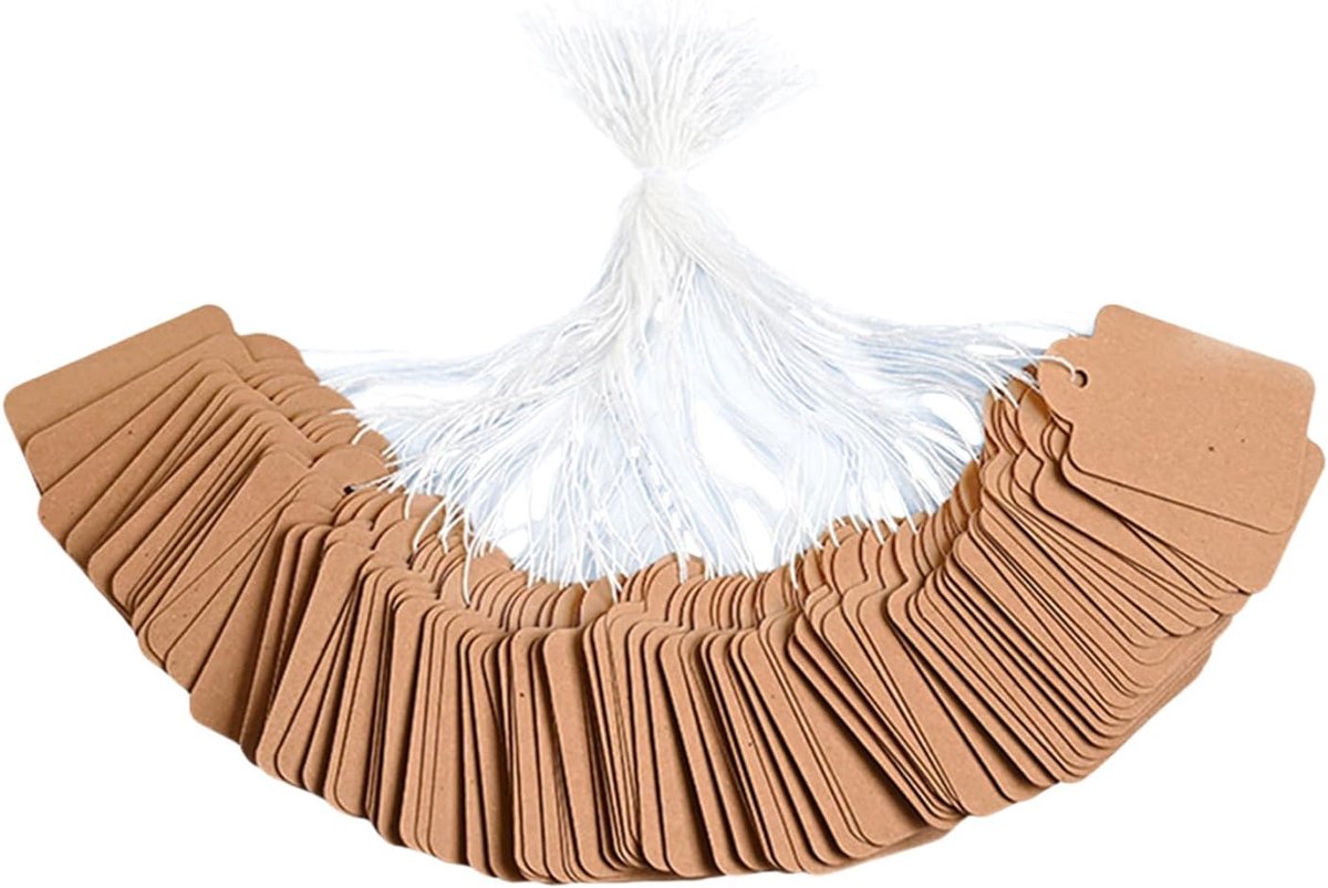 Prijskaartjes Met Touwtje 300 Stuks - 1.5x2.5 Cm Kledinglabels En Sieradentags - Kraft Papieren Hanglabels Voor Geschenken En Winkelvoorraad - Organisatielabels Voor Kleine Producten