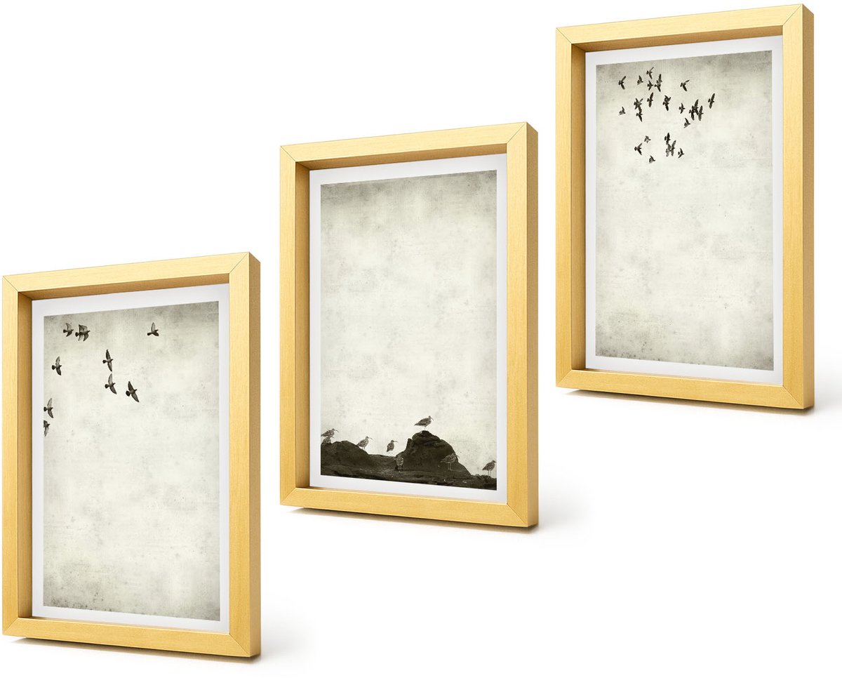 Coloray 4-Delige Schilderij Set - Vliegende zwerm vogels in minimalistische stijl - 20 x 30 cm - Schilderijen Set - Wanddecoratie - Woonkamer - Woonkamer Decoratie