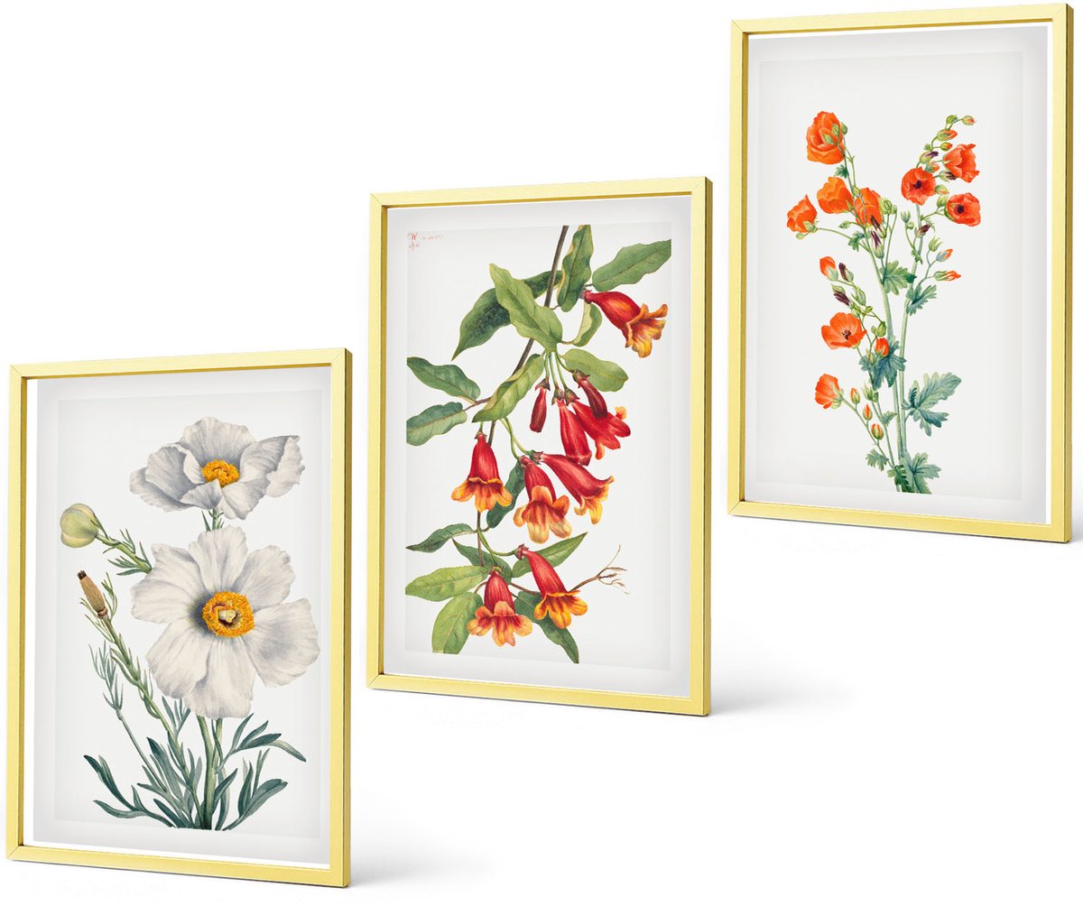 Coloray 3-Delige Schilderij Set - Bloemcomposities Retro Vintage Schilderij - 40 x 40 cm En 40 x 60 cm - Wanddecoratie - Schilderijen Set - Interieur - Muurdecoratie