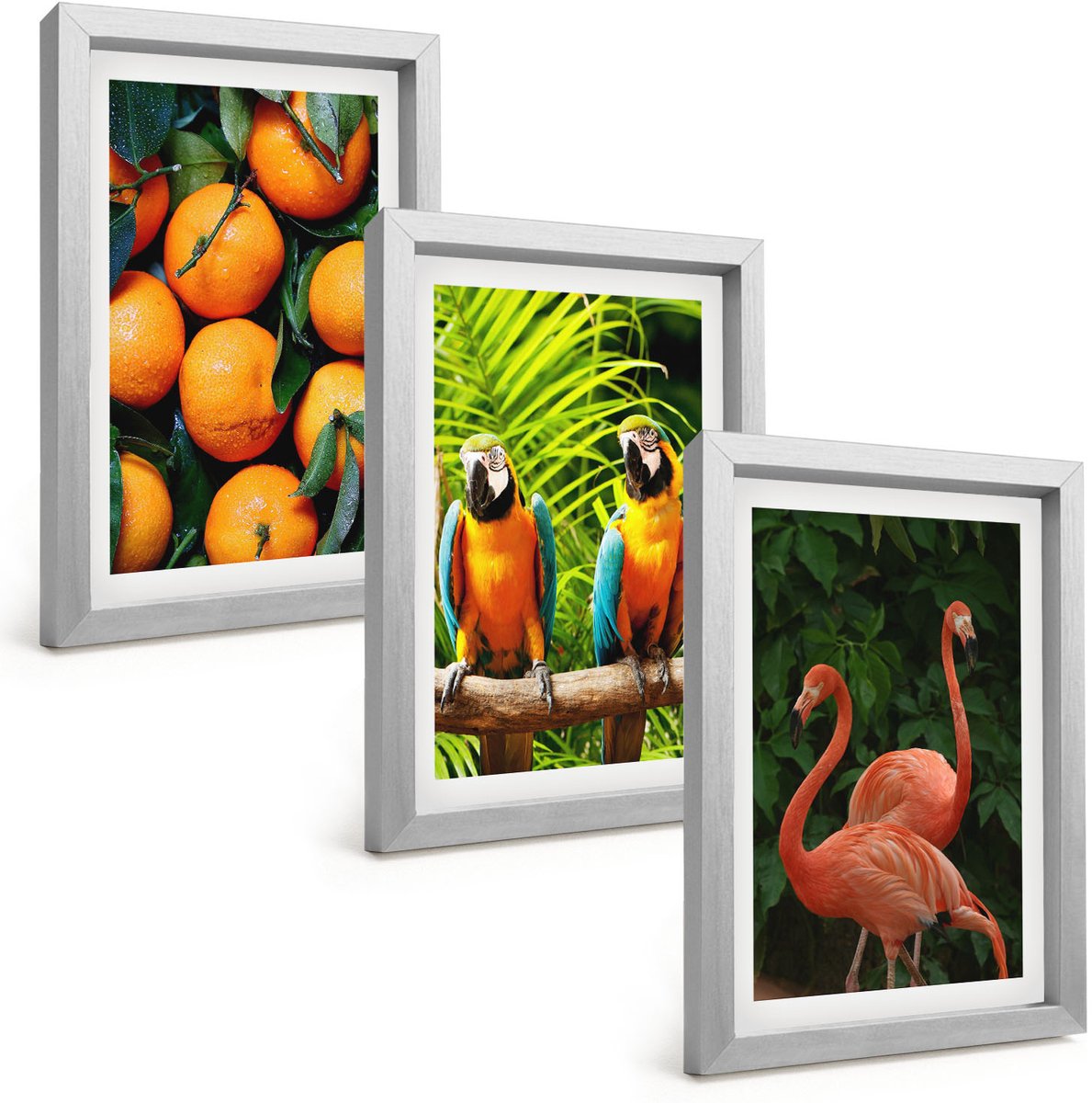 Tulup 4-Delige Schilderij Set - Fruitige accenten met papegaaien en flamingo's in de tropen - 20 x 30 cm - Stijlvolle Wanddecoratie - Interieur - Interieur Decoratie