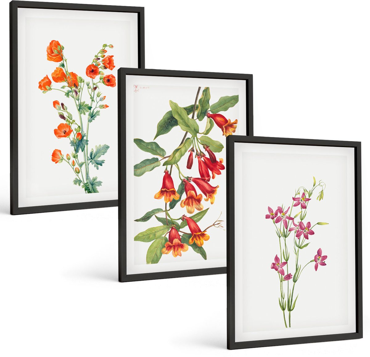 Tulup 4-Delige Schilderij Set - Vintage retro bloemenschilderij - 40 x 60 cm - Wanddecoratie - Schilderijen Set - Kantoor - Interieur Decoratie