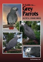 A Guide to Grey Parrots as Pet & Aviary Birds
