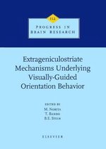 Extrageniculostriate Mechanisms Underlying Visually-Guided Orientation Behavior